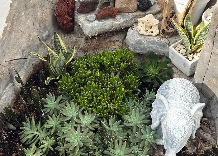 Sunset Ocean View With Patio A By-tenerife365 Feriehus Costa Adeje (Tenerife)